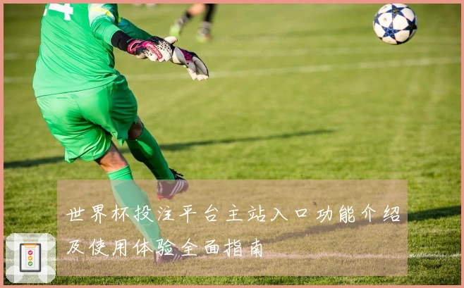 世界杯投注平台主站入口功能介绍及使用体验全面指南