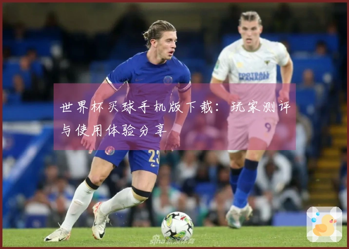 世界杯买球手机版下载：玩家测评与使用体验分享