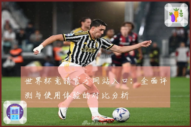 世界杯竞猜官方网站入口:全面评测与使用体验的对比分析