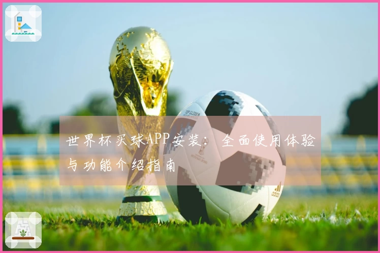 世界杯买球APP安装：全面使用体验与功能介绍指南