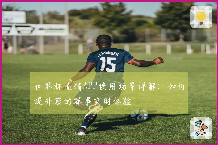 世界杯竞猜APP使用场景详解：如何提升您的赛事实时体验
