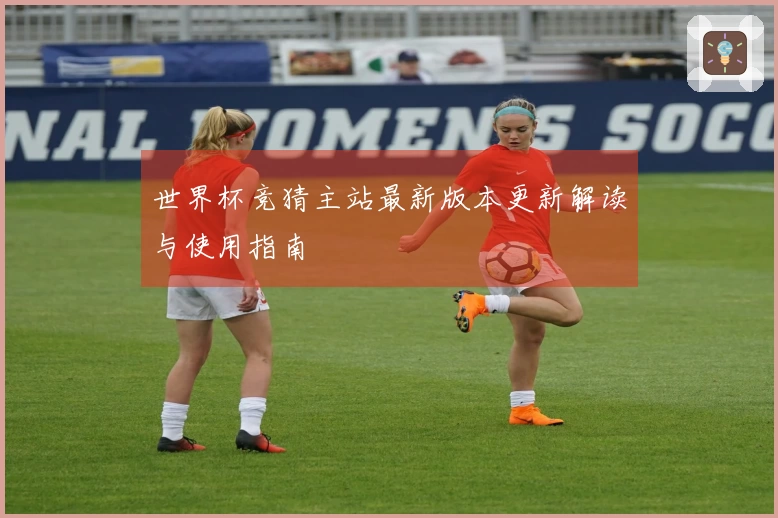 世界杯竞猜主站最新版本更新解读与使用指南