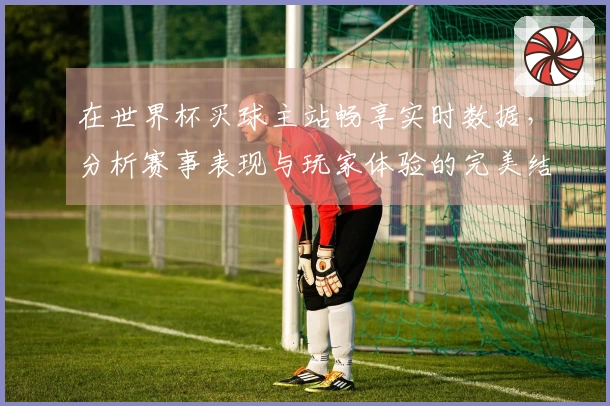 在世界杯买球主站畅享实时数据,分析赛事表现与玩家体验的完美结合
