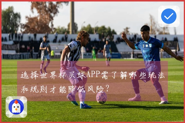 选择世界杯买球APP需了解哪些玩法和规则才能降低风险？