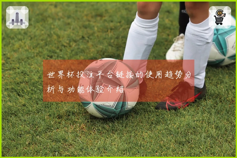 世界杯投注平台链接的使用趋势分析与功能体验介绍